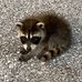 Jean Weidman - Facebook