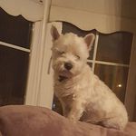 Jean Weir - @weir9728 - Instagram