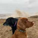 Jean Poddington-Welsh - @poddingtonwelsh - Instagram