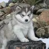 Jean Whaley - @jean.whaley2 - TikTok