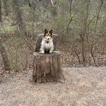 Jean Whaley - @mama_j_whay - Instagram