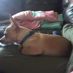 Marley jean whaley - @marleyjeanwhaley - Instagram