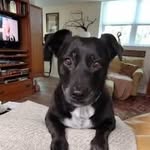 Jean Wheat - @jeanwieting6689 - Instagram