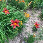 Jean M. Whitcomb - @jmwhitcomb - Instagram