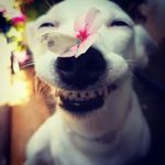 jean whitehead - @jeanwhitehead5 - Instagram