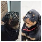 Jean Whitehead - @kissienan - Instagram
