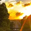 jeanwhitehead7 - @jean.whitehead8 - TikTok