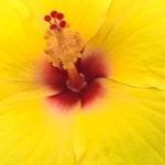 Jean Ann Whitlock - @jeanannwhitlock - Instagram