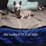 MaLady Alonda Jean Whitten - @malady42067 - Instagram