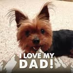 Nancy Whitten - @nancyjeanwhitten - Instagram