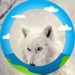Jean Willard - @blue20jay12 - Instagram