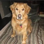 Jean Willoughby-Flebbe - @jean.flebbe - Instagram