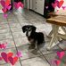 Jean Womack - Facebook