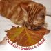Jean Workman - Facebook