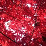 Jean Workman - @jean.workman.56 - Instagram