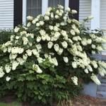 Jean Workman - @jeanworkman - Instagram