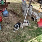 Jean Wright - Facebook