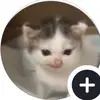 jeanyippp1106~ - @jeanyippp1106 - TikTok