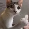 Jeanna Morrison - @jeanna.morrison7 - TikTok