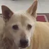 jeananelsonusery - @jeananelsonusery - TikTok