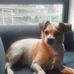 Jeana Phillips - Facebook