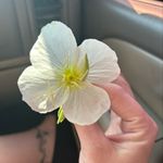 Jeana Rae Wiley Conn - @grandpabartsgardenoasis - Instagram