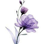 Jeanette Dixon - Facebook