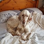 Jean Turner - @jeane.turner - Instagram