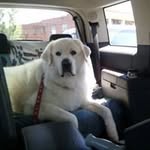 Jeane Turner Meeks - @jeanemeeks - Instagram