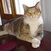 Jeanette Petro - Facebook