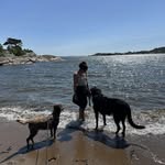 Jeanette Emilie Adriansen - @jeanetteadriansen - Instagram