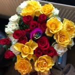 Jeanette Atkinson - @atkinson.jeanette - Instagram
