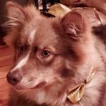 Jeanette Berg - @rexberg2021 - Instagram
