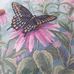 Jeanette Bingham - Facebook