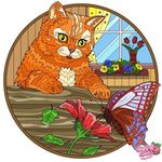 Jeanette Bingham - @jeanette.bingham.969 - Instagram