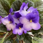 Jeanette Bratcher - @jeanettebratcher - Instagram