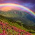 Jeanette Burrows - Facebook