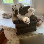 Jeanette Burrows - Facebook