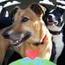 Jeanette Carr - Facebook
