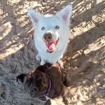 Jeanette - @coetzeejeanette - Instagram