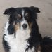 Jeanette Coe - Facebook