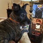 Jeanette Daugherty - @jeanette.daugherty.5458 - Instagram