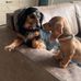 Jeanette de Vries - Facebook