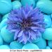 Jeanette de Vries - Facebook