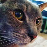 Jeanette dillon - @nettybinx - Instagram