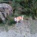 Jeanette Dillon - Facebook