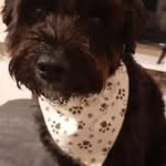 Jeanette Doyle - @jeanettedoyle10 - Instagram