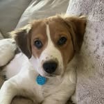 Jeanette Dube - @peaches0088 - Instagram