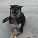 Jeanette Easterling - @jjeasterling - Instagram