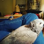 Jeanette Easterling - @your_local_jeanette - Instagram